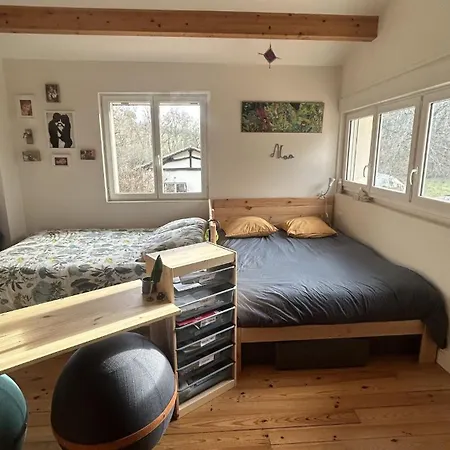 Eco-villa En Lisiere De Foret * Lisle-sur-Tarn