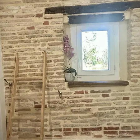 Eco-villa En Lisière De Forêt *