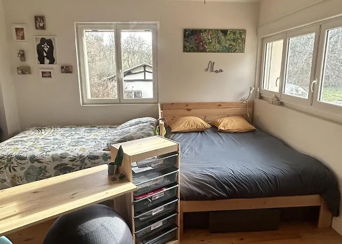 Eco-villa En Lisiere De Foret * Lisle-sur-Tarn